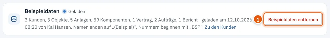 Kasten Beispieldaten mit Status Geladen und Anzahl der Datensätze